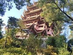 -黄鹤楼公园(黄鹤楼)