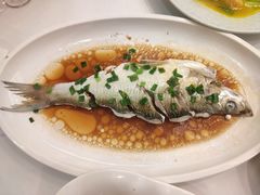 豉油蒸白水鱼-金美华轩(东方路齐鲁店)