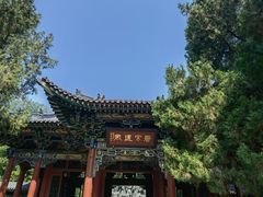 -晋祠公园
