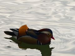 -杭州湖滨in77