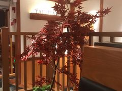 -江渔儿酸菜鱼专门店(明珠广场店)