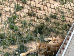 -石家庄市动物园