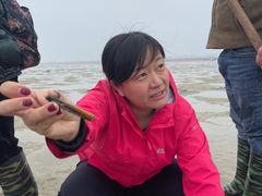 -北海金海湾红树林生态旅游区