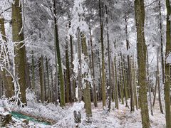 -永州阳明山国家森林公园