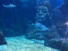 -暹罗海洋世界