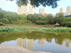 -龙头寺公园