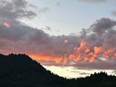 -府君山公园