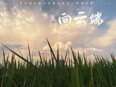 -三垟湿地
