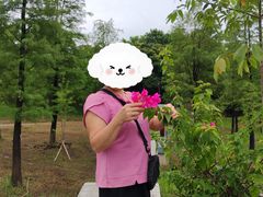 -飞来湖湿地公园