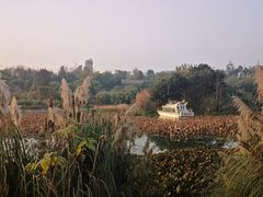 -白鹭湾湿地公园