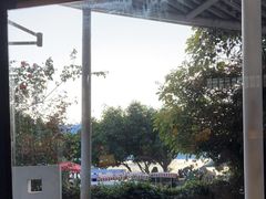 -大理老字号·舟渔的鱼野生菌海景餐厅(双廊店)