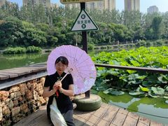 -前关湿地公园