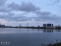-万绿园