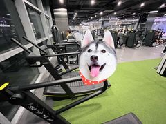 -OXYGYM 奥美氧舱运动中心(朝阳大悦城店)