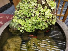 -杨肥肠小火锅(新桥店)
