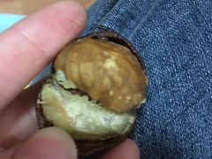 -粒上皇(淘金路店)