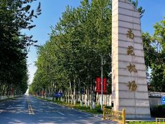 -中央广播电视塔