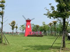 -洪湖湿地生态园