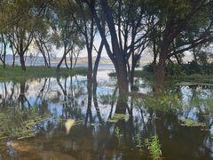 -洱海月湿地公园