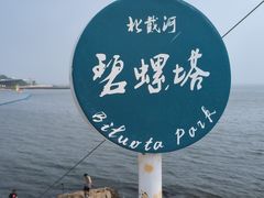 -北戴河碧螺塔海上酒吧公园