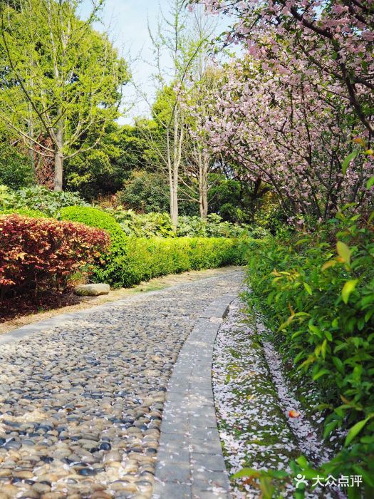 延春公园图片 - 第36张