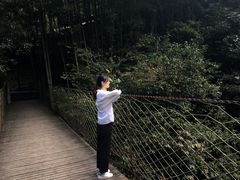-祁门牯牛降观音堂风景区