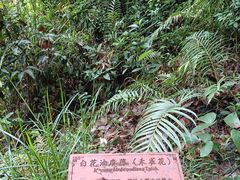 -天鹿湖森林公园