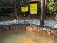 -咸宁太乙国际温泉度假村