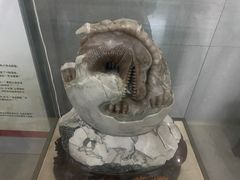 -中国西峡恐龙遗迹园