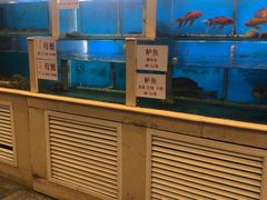 水产区-天津乾毓德饭庄·清真传统炒菜·海鲜烧烤(咸阳路店)