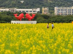 -光明小镇欢乐田园