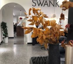 -SWANK SALON