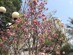 -洲头咀公园