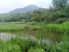 -西湖风景区-江洋畈生态公园
