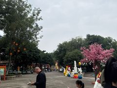-南湖梦幻岛