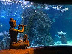 -暹罗海洋世界