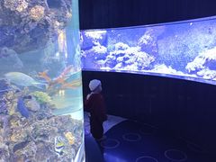 -成都浩海立方海洋公园