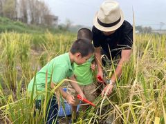 -宾果蒙特梭利托育儿童之家幼儿园(爱琴海店)