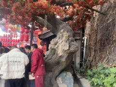 -杭州宋城