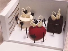 -BLACKSWAN黑天鹅(环球店)