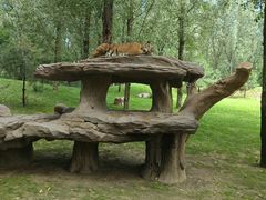 -北京野生动物园