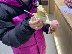 -野人先生现做冰淇淋(北京王府井东方新天地店)