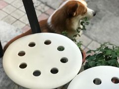 -小梁哥云吞面(黄贝岭店)