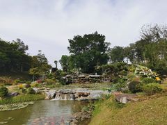 -东莞植物园