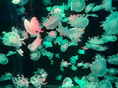 -多彩贵州城极地海洋世界