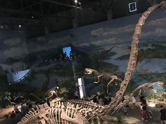 -自贡恐龙博物馆