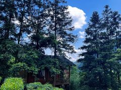 -姑婆山旅游区
