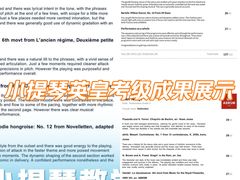 -缪斯琴行英皇小提琴.钢琴.吉他(张江店)