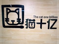 -猫十亿·布偶金渐层·曼基康矮脚猫舍(青年路店)