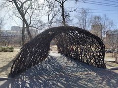 -莲花池公园
